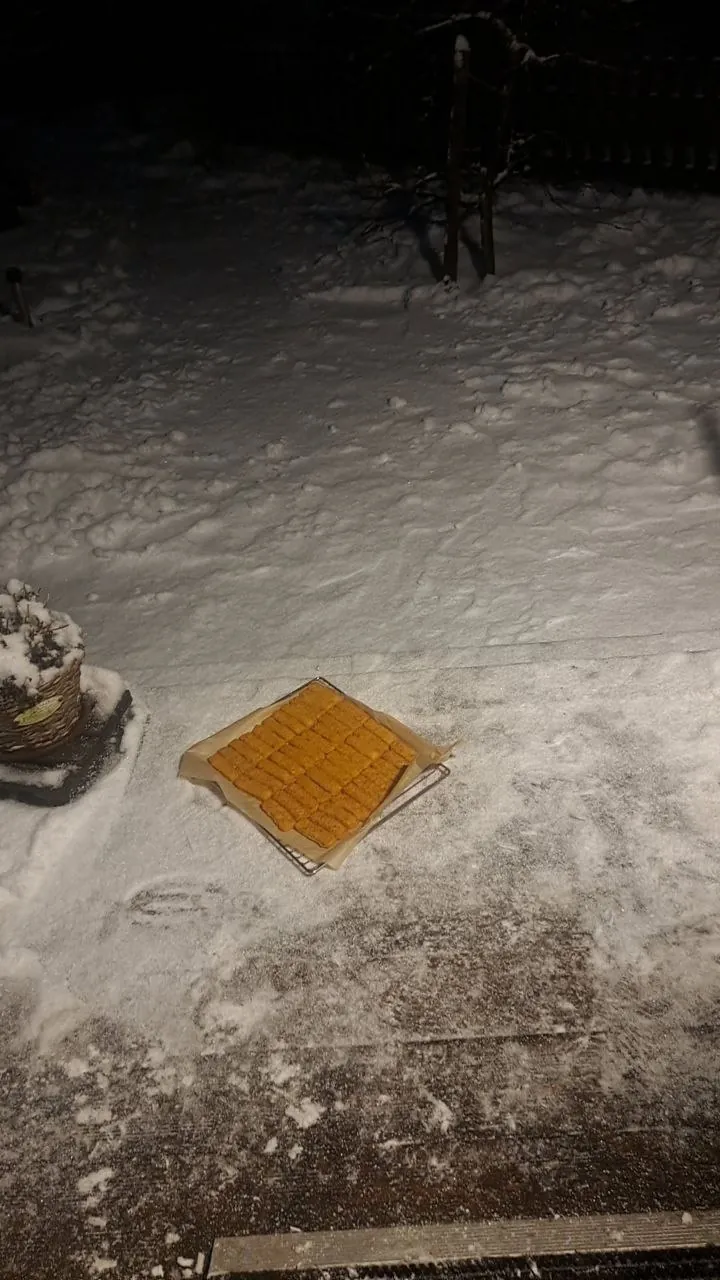 Kid named fish finger