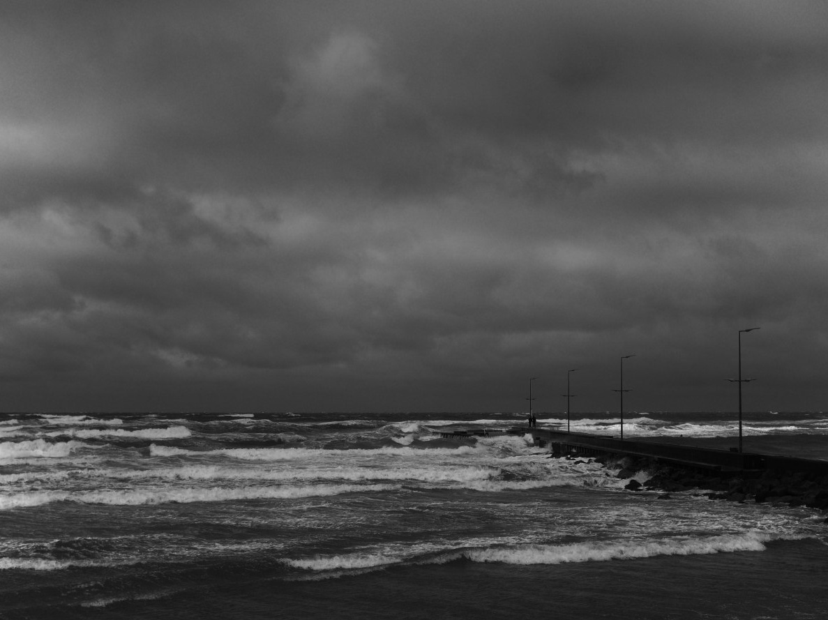 A forest shot on BW stock